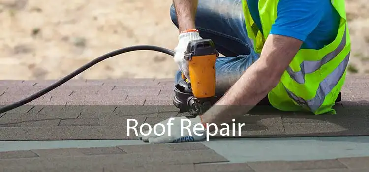 Roof Repair 