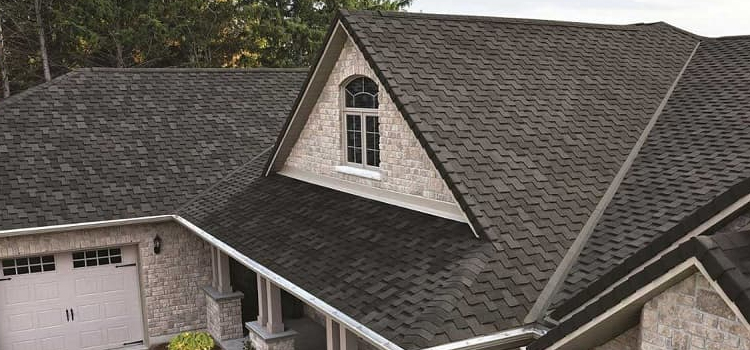 Best Asphalt Shingles