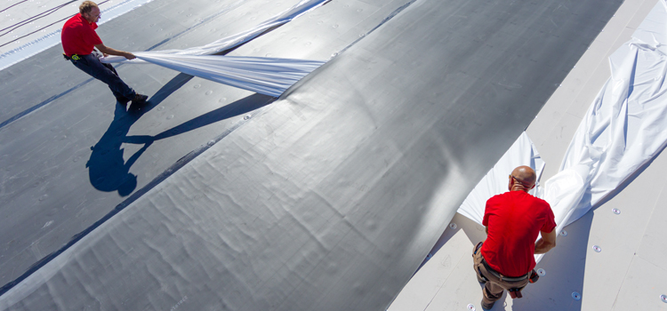  TPO Commercial Roofing